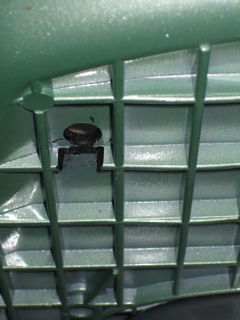 External inline image provided by member with no explanatory text