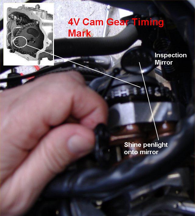 External inline image provided by member with no explanatory text