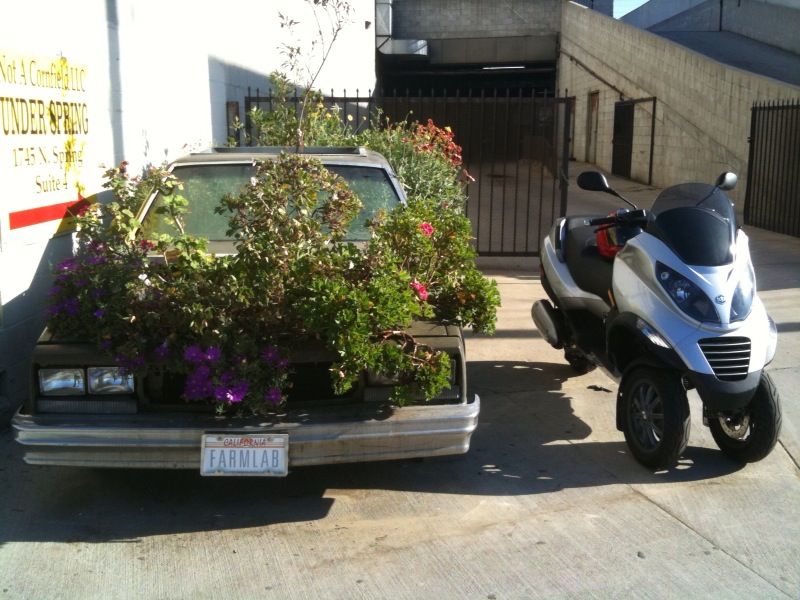 External inline image provided by member with no explanatory text