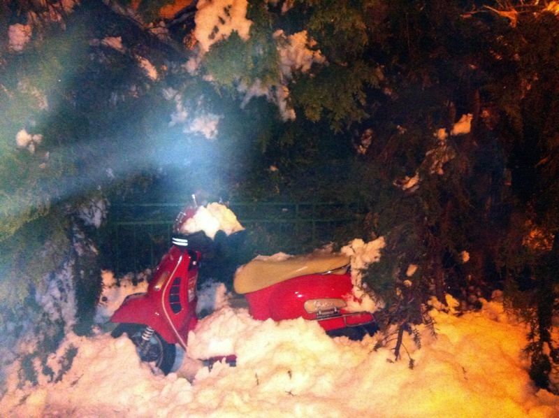 External inline image provided by member with no explanatory text