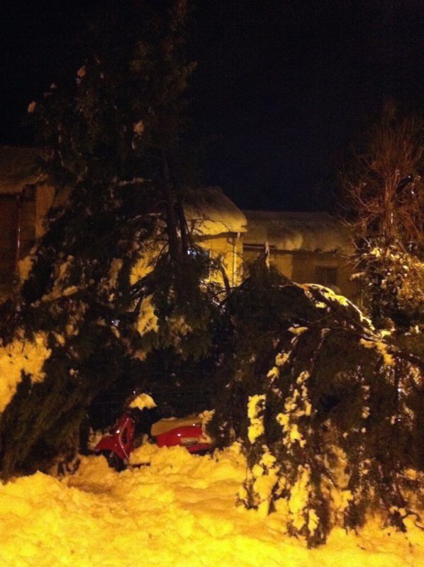 External inline image provided by member with no explanatory text