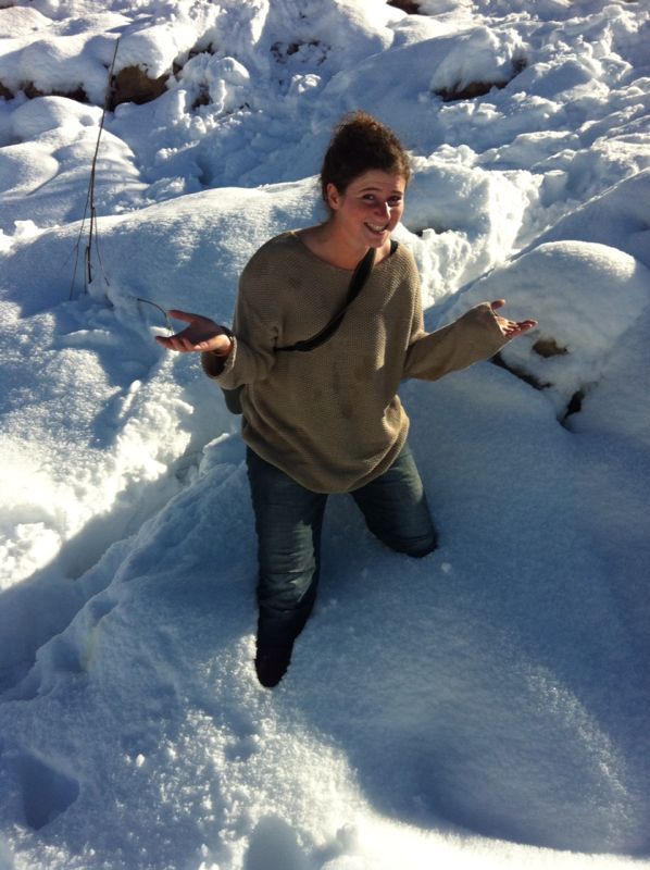 External inline image provided by member with no explanatory text