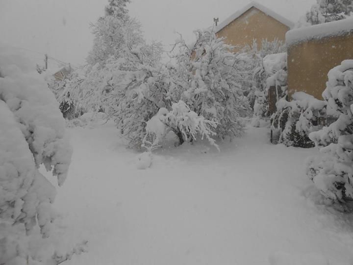 External inline image provided by member with no explanatory text