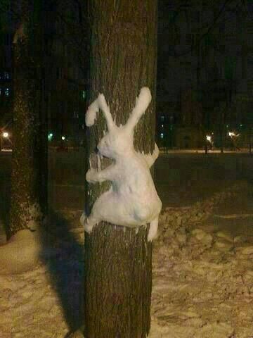 External inline image provided by member with no explanatory text