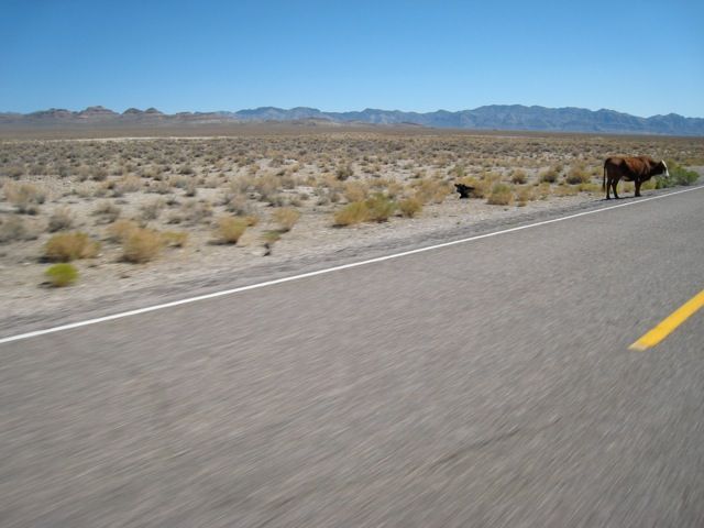 External inline image provided by member with no explanatory text