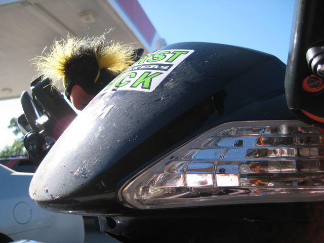 External inline image provided by member with no explanatory text