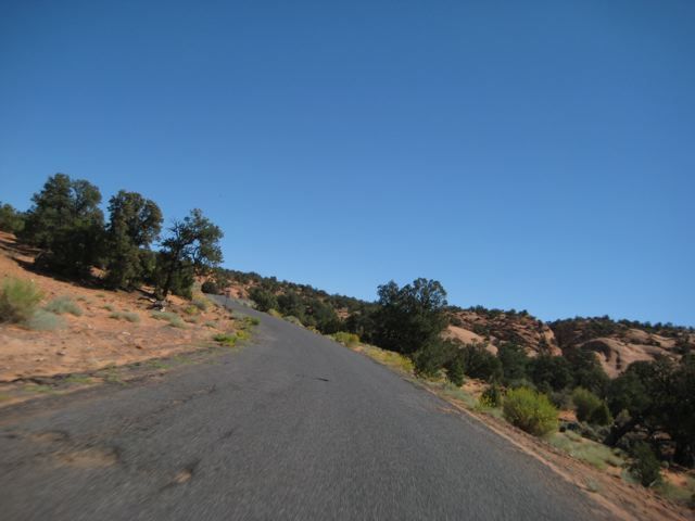 External inline image provided by member with no explanatory text