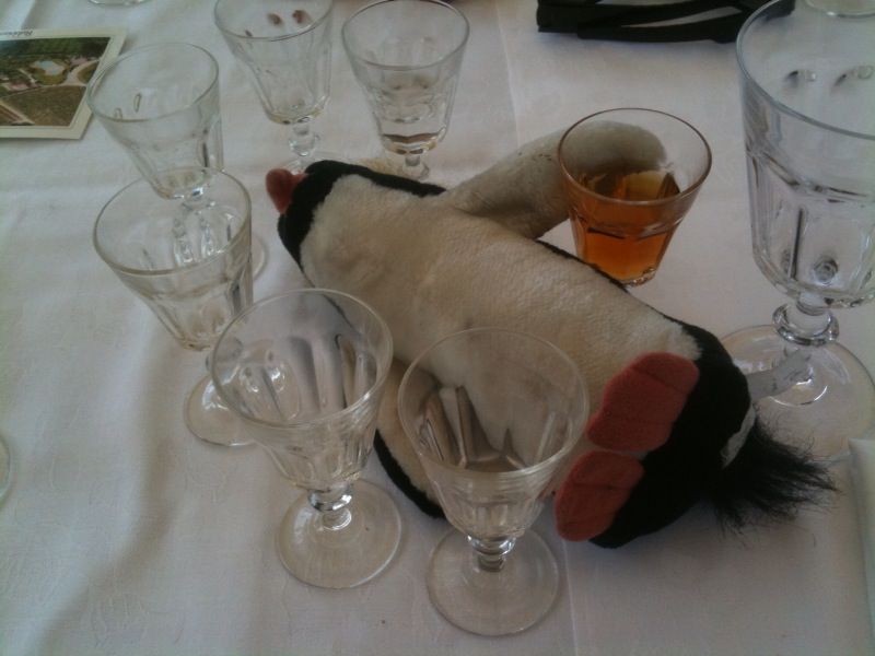 External inline image provided by member with no explanatory text