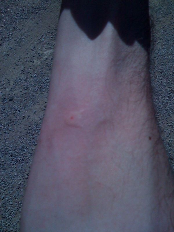 External inline image provided by member with no explanatory text