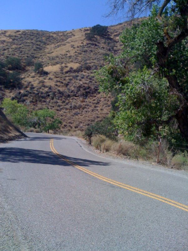 External inline image provided by member with no explanatory text